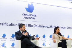 Challenge Advisory- Sustainable- Intensification- Brazil 133