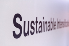 Challenge Advisory- Sustainable- Intensification- Brazil 167