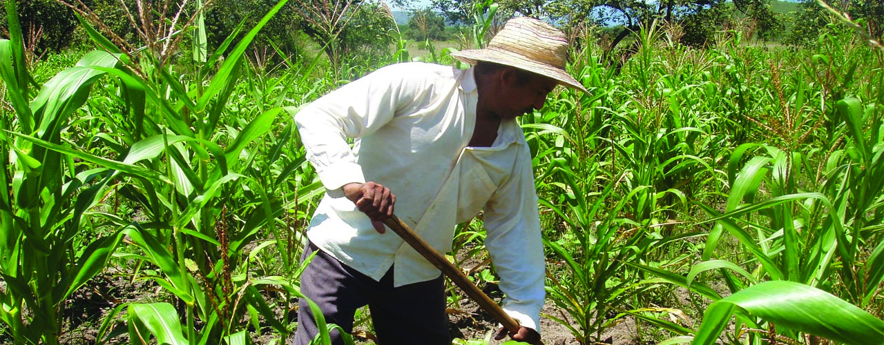 Farm and Land Colombia