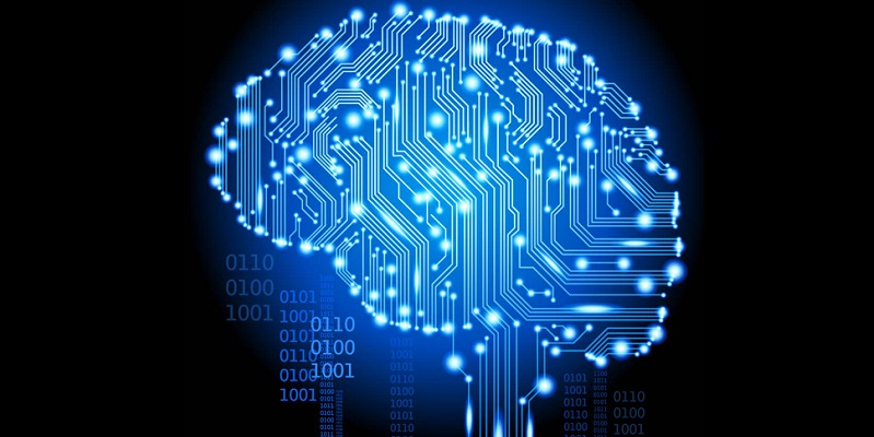 the digital brain